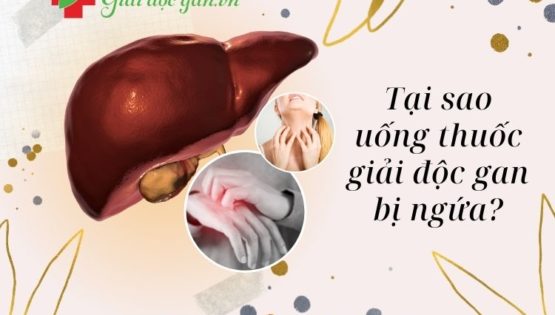 tai-sao-uong-giai-doc-gan-bi-ngua