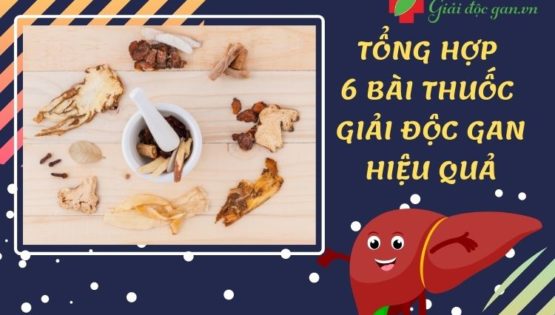 Tổng hợp các bài thuốc mát gan trị mụn hiệu quả nhất