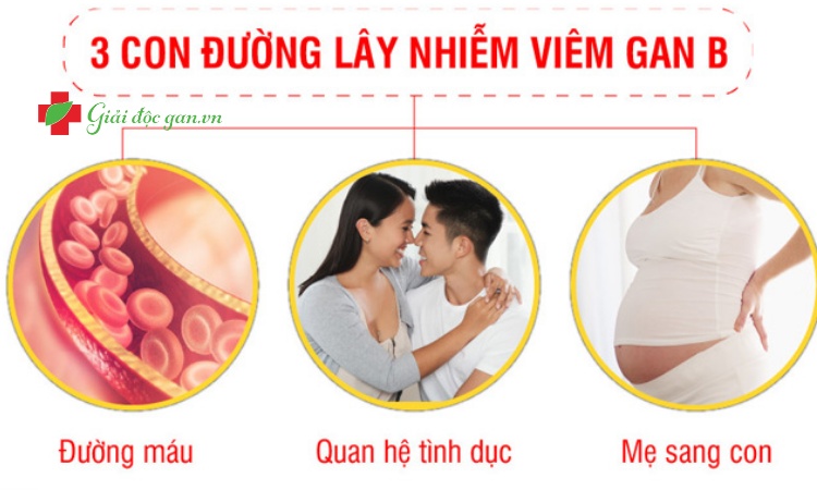 con-duong-lay-nhiem-HBV