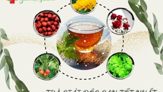 top-6-tra-giai-doc-gan