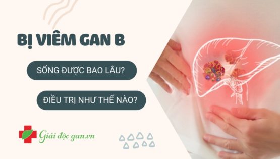 viem-gan-b-song-duoc-bao-lau