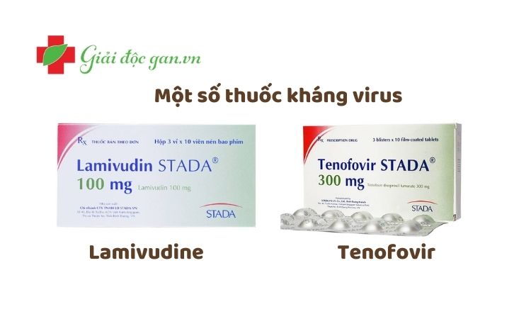 mot-so-thuoc-khang-virus-viem-gan-b