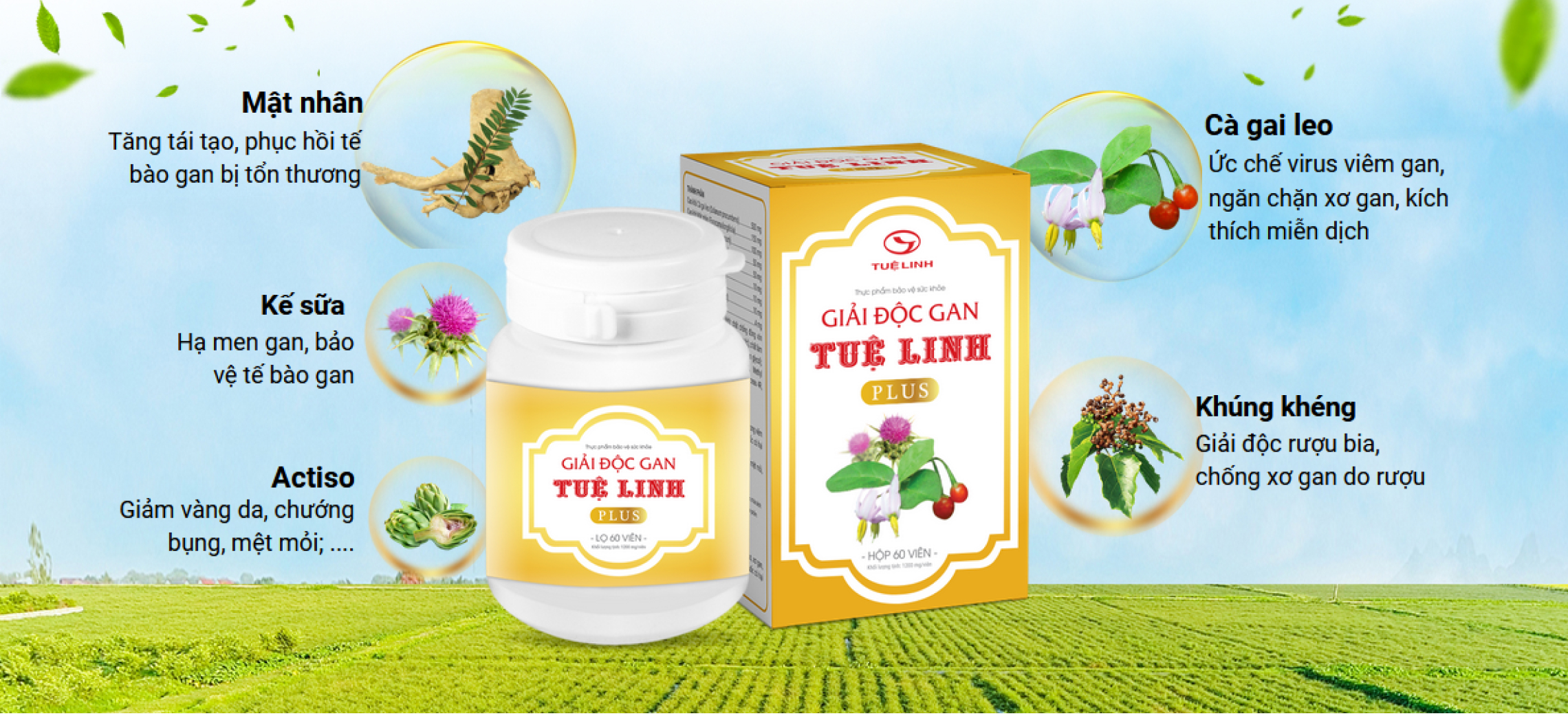 Giải độc gan Tuệ Linh plus