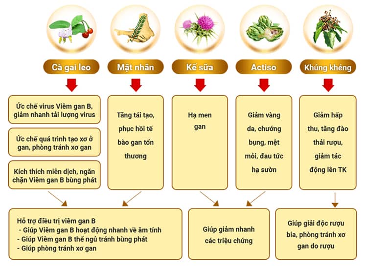Giaỉ độc gan Tuệ Linh Plus với công thức đặc biệt